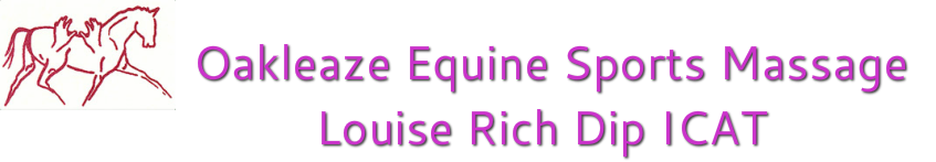 Oakleaze Equine Sports Massage